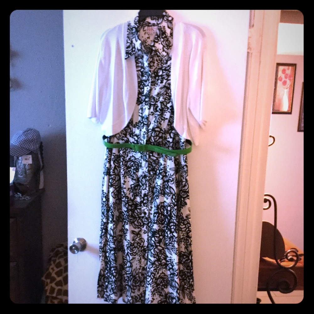 Gorgeous sleeveless retro dress